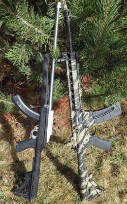 best_survival_rifle_SW-AR22_vs_Ruger_10-22