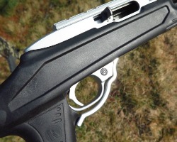 review_ruger_10-22-survival-rifle