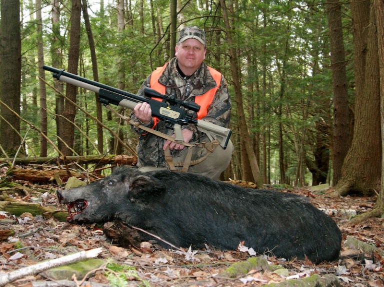 best-air-rifle-for-hog-hunting
