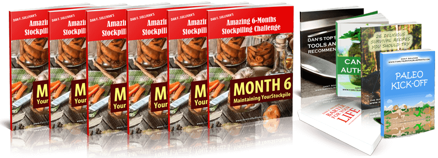 Amazing_6_Months_Stockpiling_Challenge.odt21