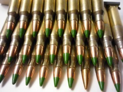 best_ammo_for_preppers