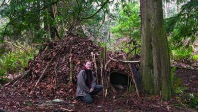 wilderness shelter