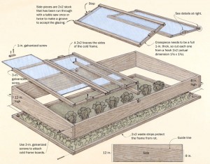 Kcold-frame-gardening-10