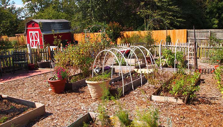 Vegetable Garden Planning for Beginners – The Prepper Dome