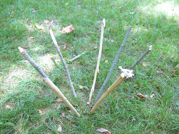 cone-sticks-in-ground