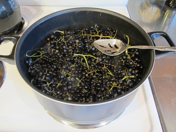 grapes-in-water