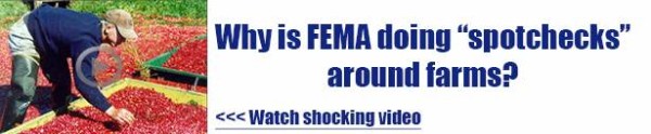 why-is-fema-doing-spotchecks-around-farms-600x124