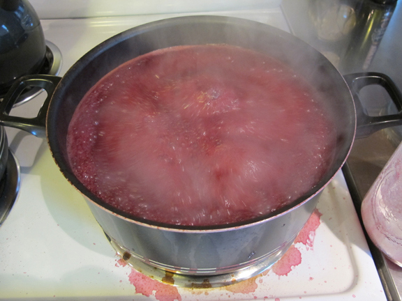 wild-grape-jelly-boiling-3