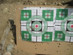 SHTFblog_Survival_Cache_SHTF_BOB_best-HR_12_GA_American-Eagle_W-W-Shotgun_shell_cut_shells_TEST_Whiskey_kill_Howard_leight_imp-teotwawki
