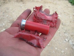 SHTFblog_Survival_Cache_SHTF_BOB_best-HR_12_GA_American-Eagle_W-W-Shotgun_shell_cut_shells_TEST_review_results_TEOTWAWKI_Best_