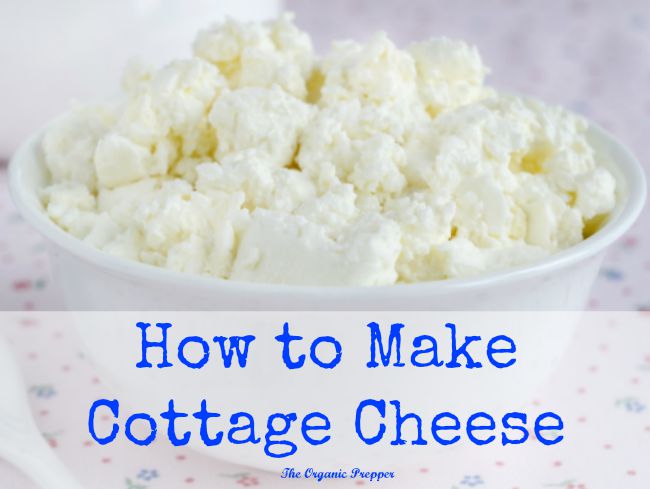 How To Make Cottage Cheese The Prepper Dome