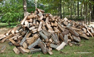 woodpile-300x182