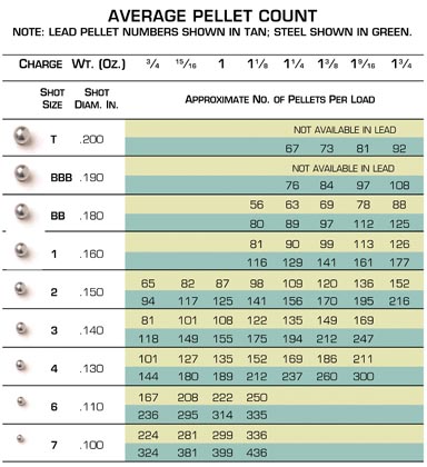 Steel Shot Size Chart