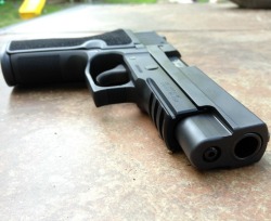 Survival_Cache_SHTFblog_best_gear_review_Sig_Sauer_p227_.45_ACP_45ACP_muzzle_nitron_E2