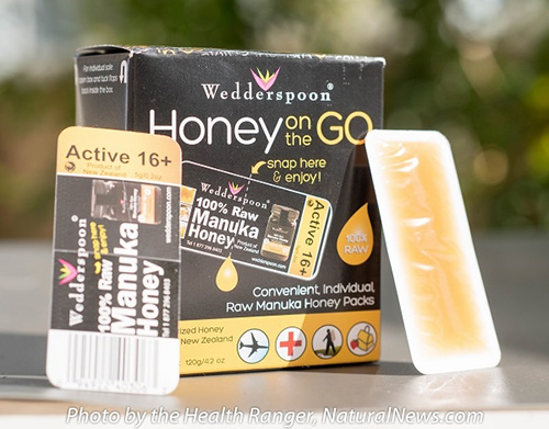 manuka-honey-first-aid-500