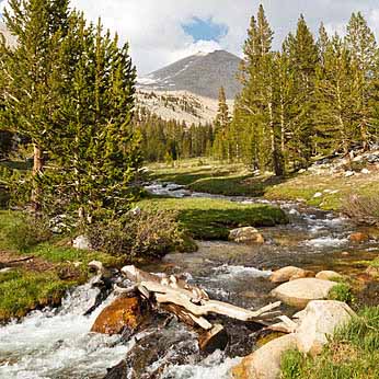 Whitney Creek - Beautiful alpine stream west of Mount Whitney, Sierra Nevada, California, USA