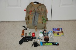 bug_in_bag_shtf_woods